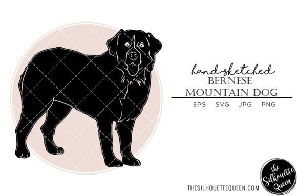 Bernese Mountain Dog Sketch: A Designer's Honest Review