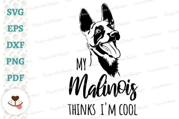 My Malinois Thinks I'm Cool: A Designer Review
